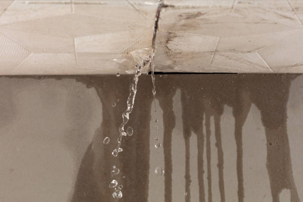 Professional Water Damage Inspection technician working in Sloatsburg, NY